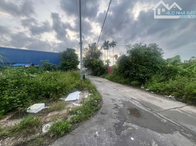 58,8m2 đất đấu giá Đẩu Sơn 1 - Ngang 4,2m - Đường 4m
