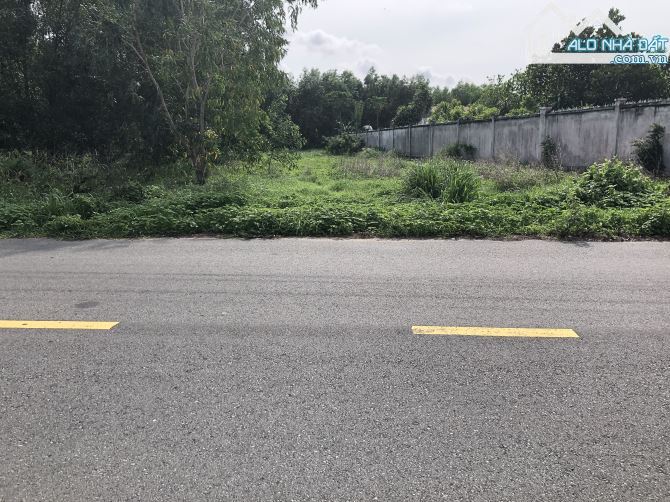 🏡 Đất 1016m² trục chính UB Phước Hải, 2 mặt tiền, full thổ cư, tiện nghi sống 🌿