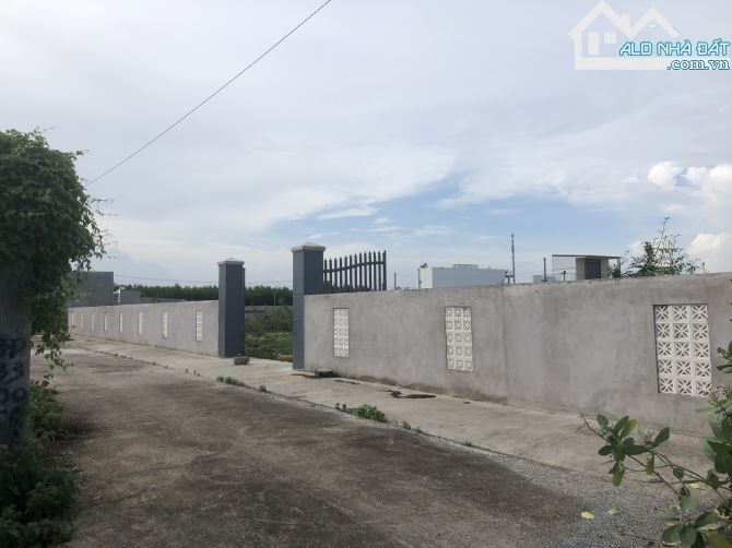 🌿 Đất 1622m² Thị trấn Phước Hải - Gần biệt thự Phan Gia, sổ sẵn, 400m² thổ cư 🏡