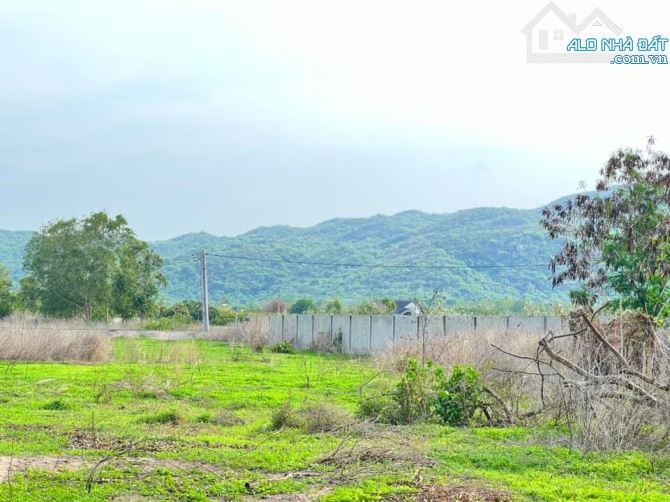 🌿 Bán đất sào 3 mặt tiền Long Mỹ, Đất Đỏ, BR-VT 🚗