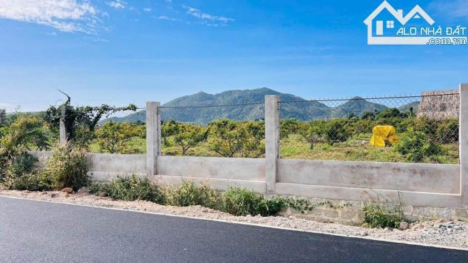 🏡 Đất 2 Mặt Tiền 2000m² Phước Hải - Tường Rào Kiên Cố, Gần Biển 🌊