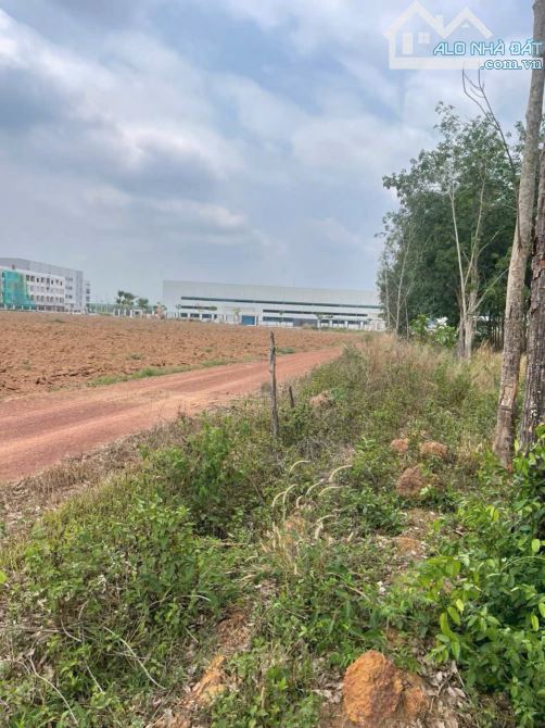 Ngang 23 m đất ngay Khu công nghiệp mà giá chỉ 320 triệu tìm đâu ra đây cả nhà giá thương