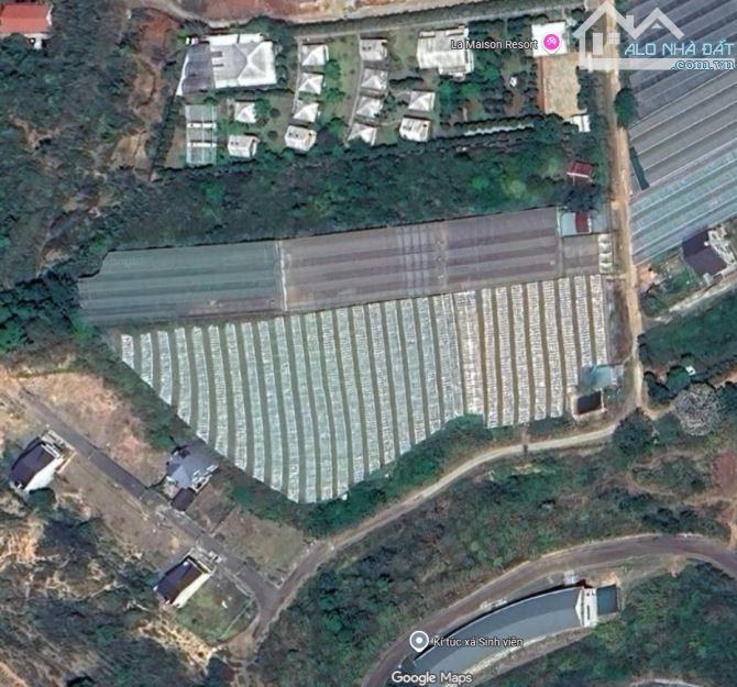 211m² Đất full thổ cư view rừng thông vĩnh viễn, xây villa nghỉ dưỡng