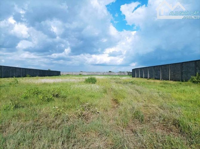 Bán 10.698m2 có 1383m2 thổ cư, mặt tiền Nguyễn Hữu Trí, Tân Bửu, Bến Lức, Long An
