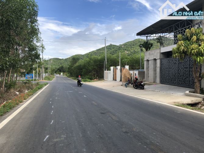 🌟 BÁN ĐẤT GÓC 2 MẶT TIỀN NHỰA LỚN – THỊ TRẤN PHƯỚC HẢI – BÀ RỊA VŨNG TÀU 🌟