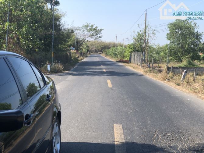 🌄 Bán 1 sào đất 20m mặt tiền trục chính TT Phước Hải, view núi Minh Đạm, gần biển