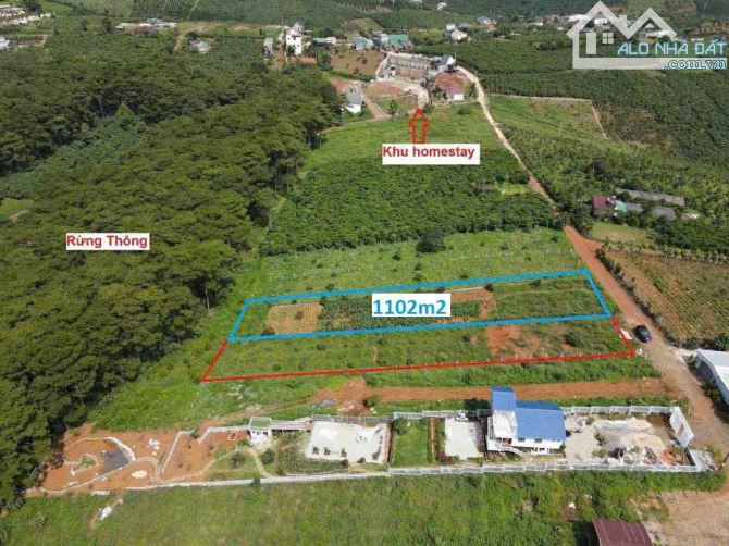BÁN 1 LÔ CÒN 1 LÔ BIỆT THỰ DUY NHẤT - PHƯỜNG 2 MỚI BẢO LỘC