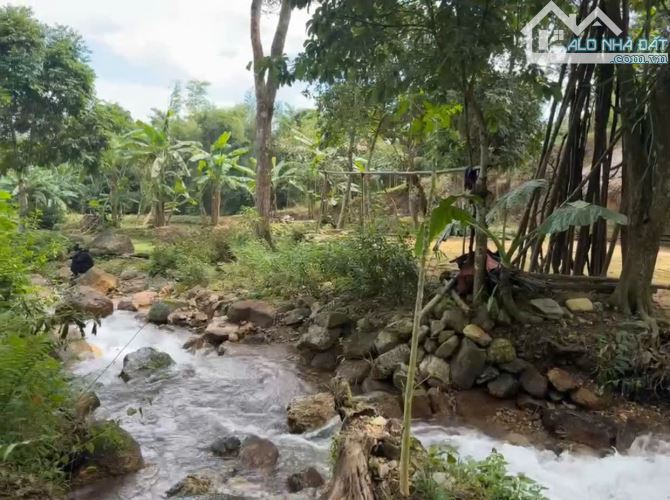 Bán lô đất bám suối 5500m2 tại Đà Bắc Hoà Bình cũ siêu hiếm, 4,x tỷ