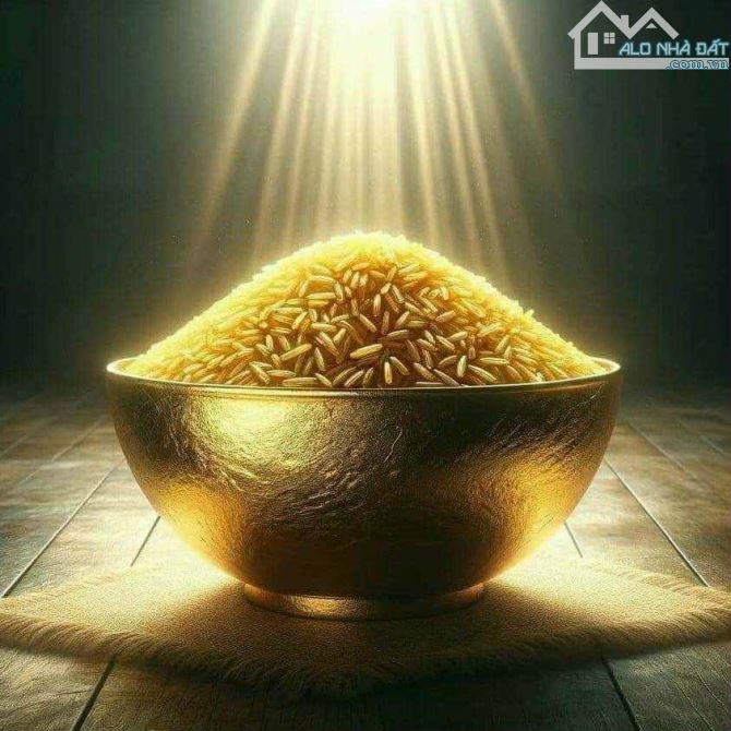 V33 Bán biệt thự mặt tiền đường lớn khu bãi Sau, gần đường Võ Thị Sáu, bãi Sau, phường VT