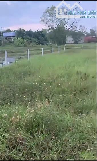 lô đất cách Vin Hậu Nghĩa 2km, 10x28, giá cực tốt, full thổ . SS giao dịch.