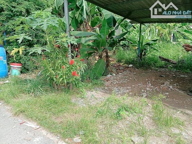 ĐẤT BÌNH CHIỂU, THỦ ĐỨC, XE TẢI, 71M2, NHỈNH 3 TỶ, GIÁ RẺ NHẤT.