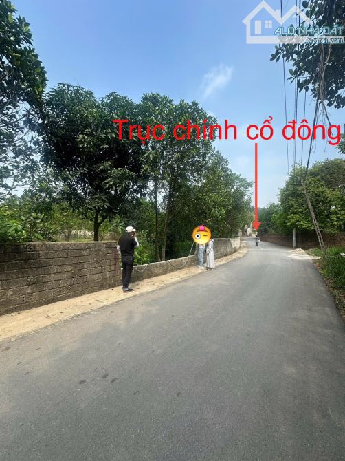 🔥 128m² full thổ trục chính Cổ Đông – đối diện Tomodachi Làng Mít!