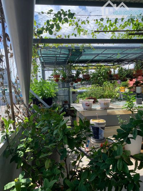 🏡 BÁN NHÀ TÂM HUYẾT – NGUYỄN THÀNH HÃN, ĐÀ NẴNG 🌿 - 11