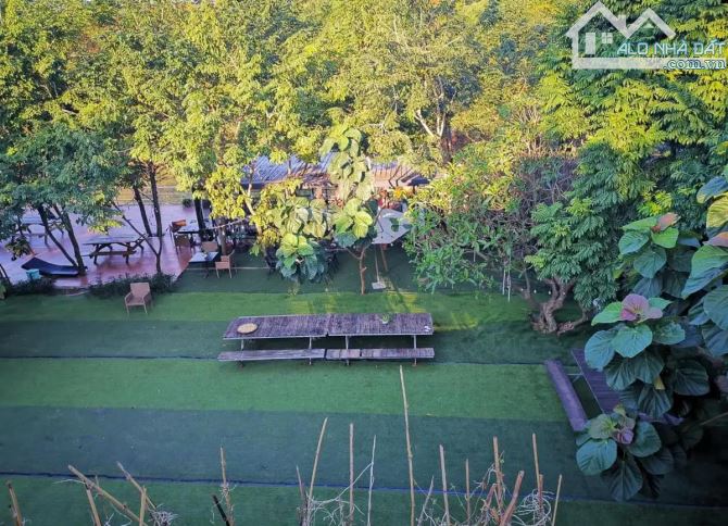 Bán biệt thự sân vườn siêu rộng 4.500 m², tính ra chưa đến 30 triệu một mét, - 11