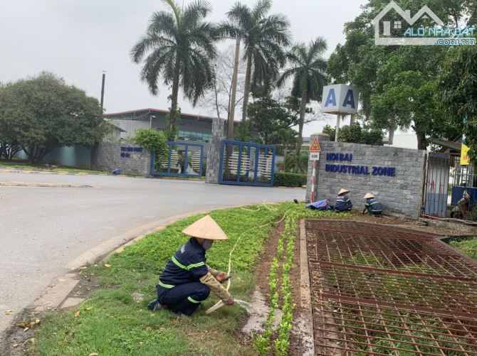 Bán Đất – [GIÁ CỰC SỐC ]-Đại Học Thủ Đô-Gần KCN,Sân Bay NB -Thông ÔTô-121m2- Nhỉnh 3Tỷ. - 1