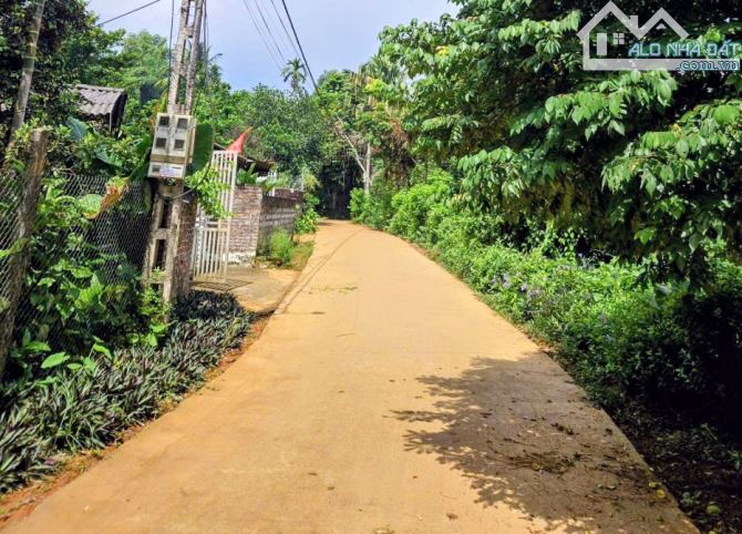 Đất rẻ Minh Quang, Ba Vì, 558m, 150m tc, tựa núi, view đồng, đường oto thông, chỉ 1.55tỷ - 1