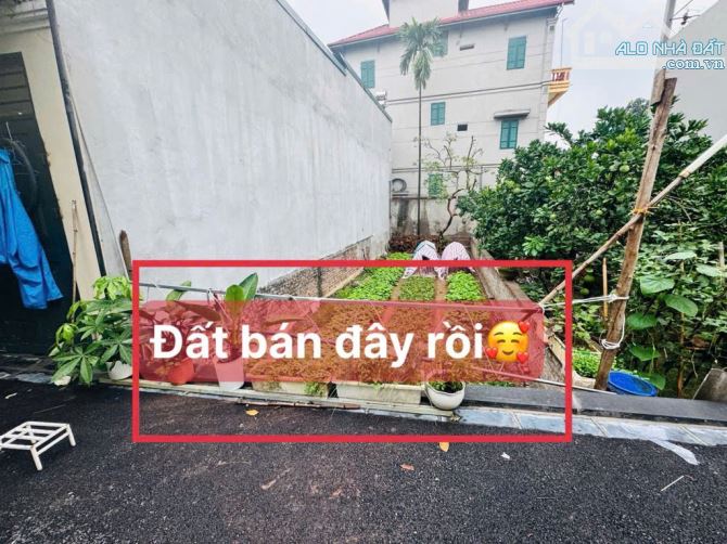 bán đất cổ điển hải bối 71m2 5.72 tỉ - 1