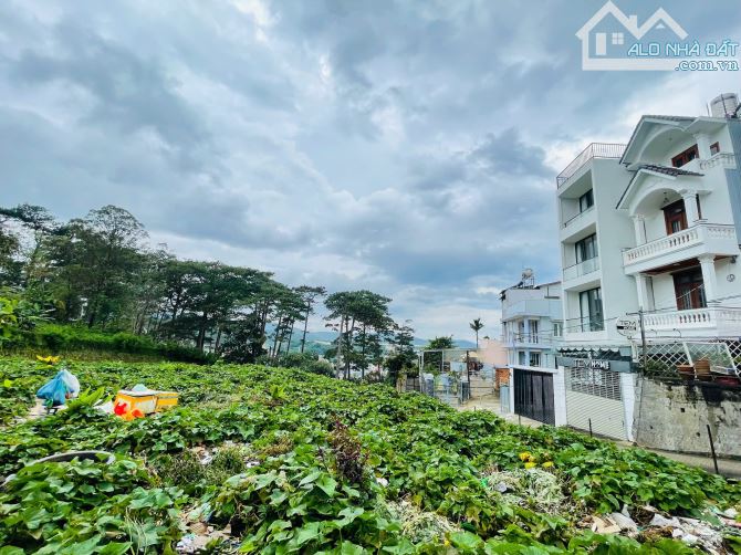 Đà Lạt - Đất Liên kế - Ngô Quyền - 83m2 - 5,6 tỷ - 1