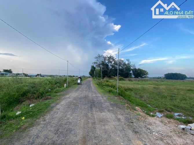 🌅Siêu Vip Gần Biển Phước Hải🌾689m²–300TC–View Núi & Cánh Đồng–Chỉ 4,2 TỶ - 1