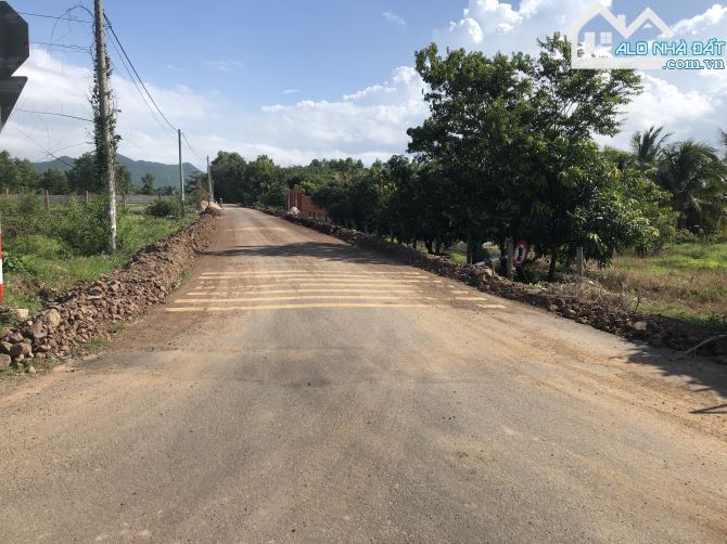🌴Biệt Thự Vườn Phước Hải🏡3.300m²–MT 10m Đường Nhựa–Cách TL44B 50m–Giá 5 Tỷ XX - 1