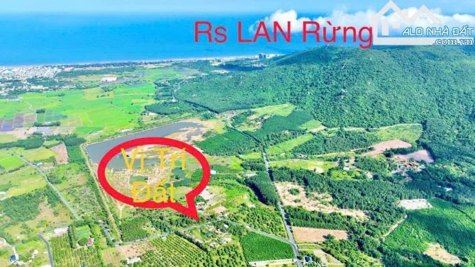 🏞️ Thị Trấn Phước Hải – Đối Diện Hồ Sở Bông – View Núi Minh Đạm – 919m² – Giá 6,4 Tỷ - 1