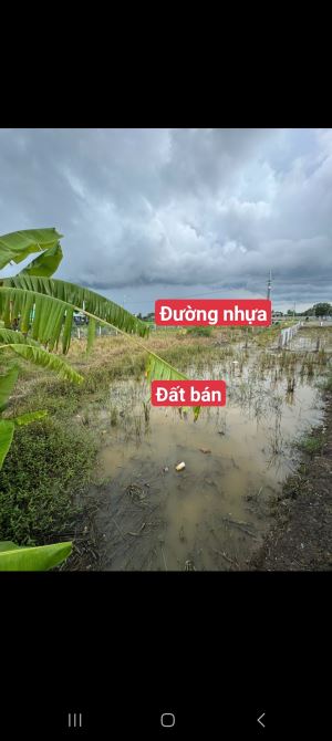 87,2m2 đất thổ vuông vứt sát nhựa 225 triệu tân trụ_Long an giá rẻ đầu tư sổ hiện đường đ - 1