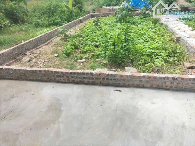 BÁN ĐẤT HỘI PHỤ ĐÔNG HỘI ĐÔNG ANH - 1