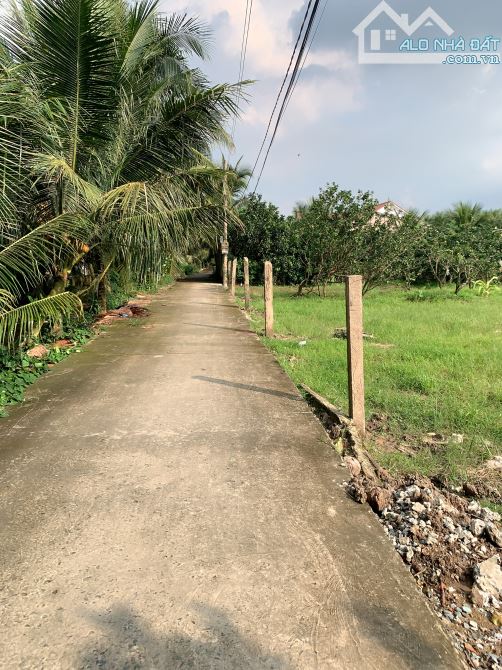🏡 BÁN ĐẤT NỀN KDC MỸ HÒA – PHƯỜNG MỸ PHONG, TP. MỸ THO - 1