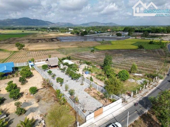 💥 Đất Thị Trấn Phước Hải - Mặt Tiền Đường Nhựa - 877m² - Giá 6,2 tỷ 💥 - 1