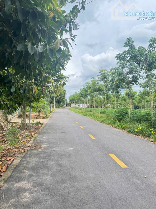 chính chủ cần bán gấp 500m2 sát chợ - 1