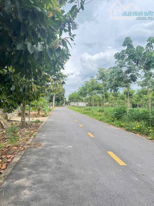 Chính chủ bán miếng đất 500m ĐỐI DIỆN NHÀ VĂN HOÁ - 1