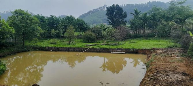 1.216M2 ( 5,5 TỶ ) VIEW CÁNH ĐỒNG TRONG ĐẤT CÓ AO - 1