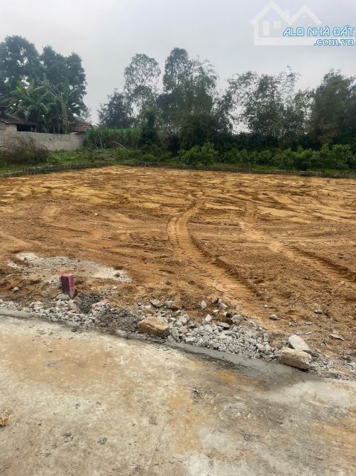 Lô đất ở Xóm 4 , Nghi Thịnh lối 2 đường nhựa liên xã        Diện tích 119m² full thổ cư. - 1
