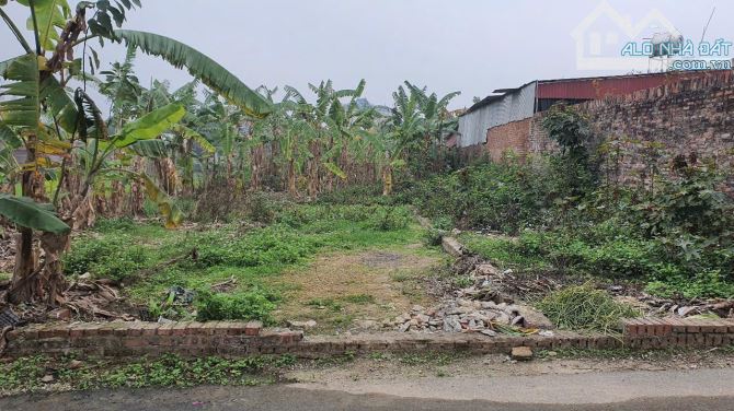 Đất 2 ô tô tránh tại Vệ Linh. Phù Linh, Sóc Sơn giá chỉ 3xtr cho nhà đầu tư - 1