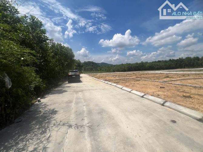 Bán mảnh đất 690m tại Thạch Thành đã tách làm 3 lô giá 195 triệu/lô - 1