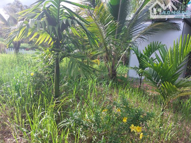 BÁN 5,6 SÀO NHÀ VƯỜN HÒA KHÁNH - BMT - 1