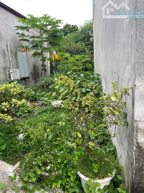 Bán Đất Đặng Xá An Đà - 40m mt 3,8m Hai mặt thoáng - ngõ nông gần Chợ - giá 3,1 tỷ - 1