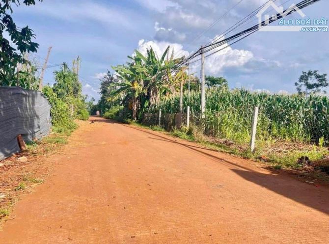 ĐẤT ĐẦU TƯ NGAY DỐC BUÔN RƯ - GẦN CỤM CÔNG NGHIỆP TÂN AN - 1