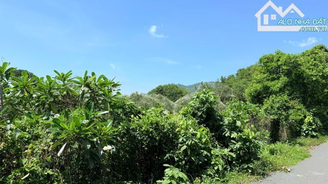 🌳 Vườn cây ăn trái 2.577m² – View núi Minh Đạm – Cách biển Phước Hải chỉ 3km 🌊 - 1