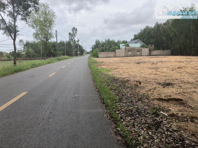 🏡 Đất gần 2000m² TT Phước Hải, 58m mặt tiền nhựa, sổ công chứng ngay 🌿 - 1