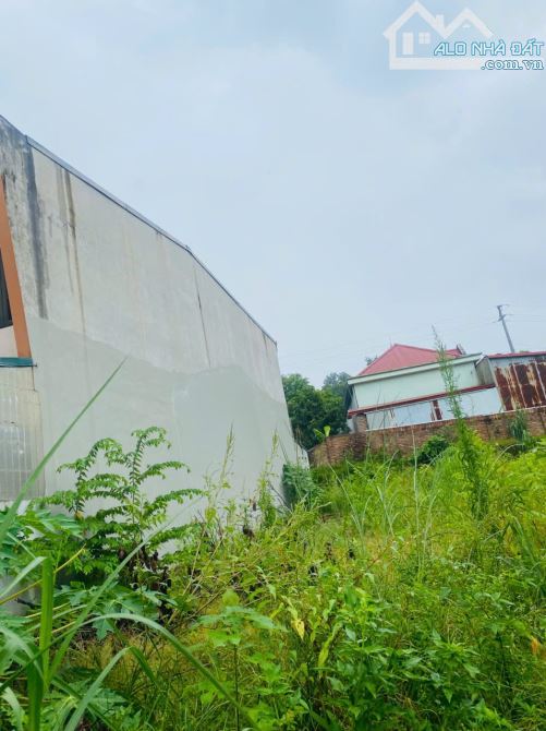 Bán đất trục chính Làng Bầu, Liên Bảo. DT 92.5m2. Giá 2.8 tỷ - 1