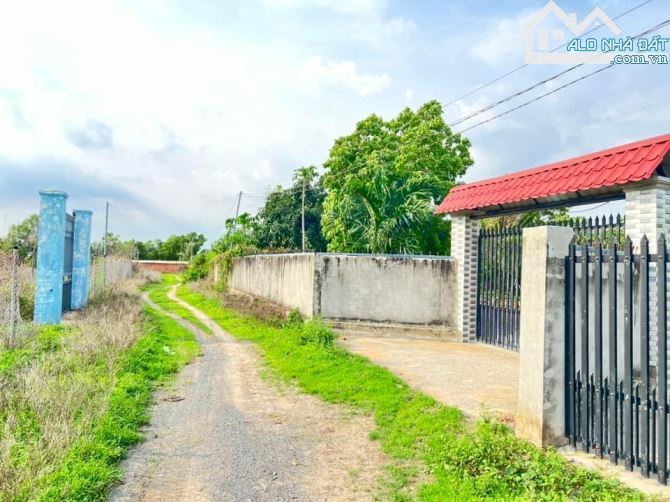 🌿 Bán đất sào 3 mặt tiền Long Mỹ, Đất Đỏ, BR-VT 🚗 - 1