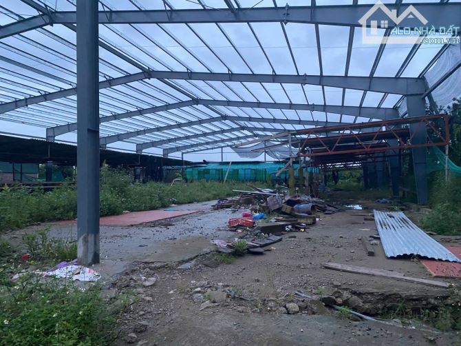CHÍNH CHỦ GỬI BÁN ĐẤT NÔNG NGHIỆP 50 NĂM - 1