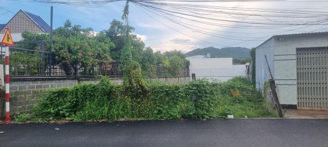 🏝️ Mặt Tiền Nguyễn Tất Thành - TT Phước Hải, Cách Biển 750m 🏄‍♂️🏄‍♂️ - 1
