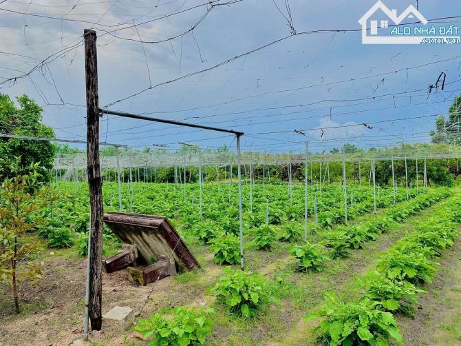 🌿 Bán Đất Vuông Vức 5700m2 Long Mỹ - Đất Đỏ BRVT 🌿 - 1