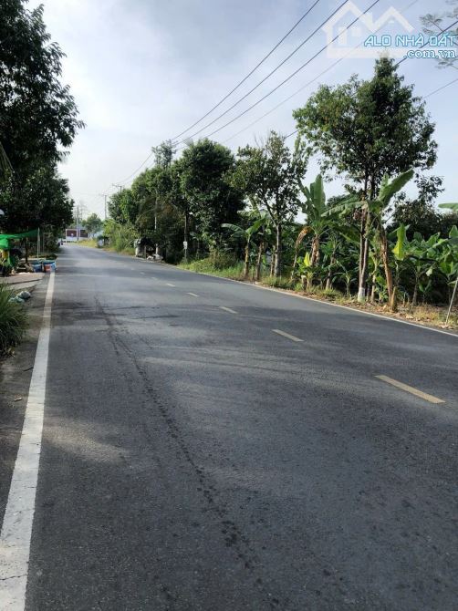 🏠BÁN 1.291m2 ĐẤT CÓ THỔ CƯ - MẶT TIỀN ĐƯỜNG NGUYỄN VĂN QUI (GẦN CĂN NHÀ MÀU TÍM), TÂN PHÚ - 1