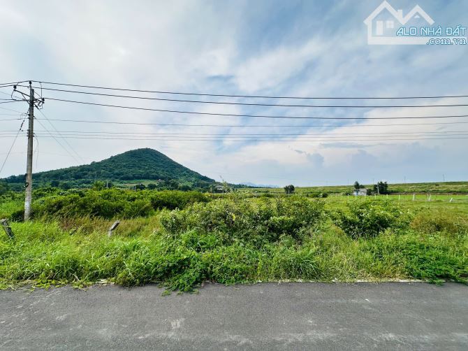 Bán Đất 5376m2 Mặt Tiền Nguyễn Minh Châu, Tân Tiến, La Gi  2.4 triệu/m2 - 1