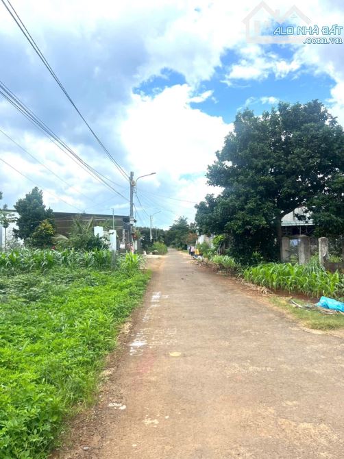 Ⓜ️ Đất Đường D2 Buôn Kotam, Phường Tân An - 1