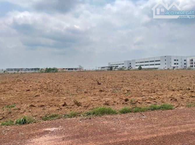Ngang 23 m đất ngay Khu công nghiệp mà giá chỉ 320 triệu tìm đâu ra đây cả nhà giá thương - 1