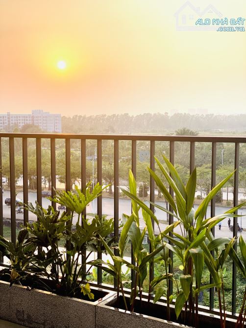 Chính chủ bán nhà dịch vụ Hàng Bè - Kiến Hưng - mặt phố kinh doanh - view đường Cenco 5 - 1